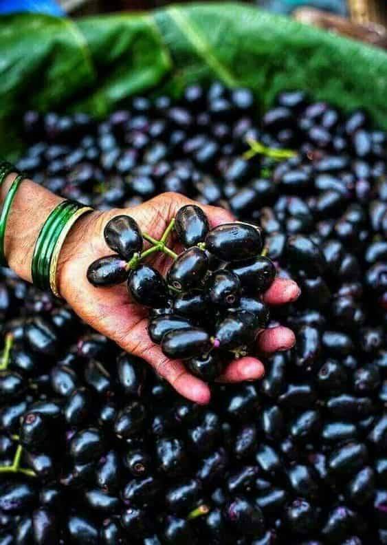Jamun (250g)