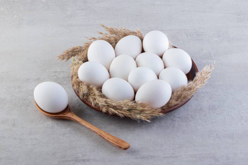 EGG 6 pieces