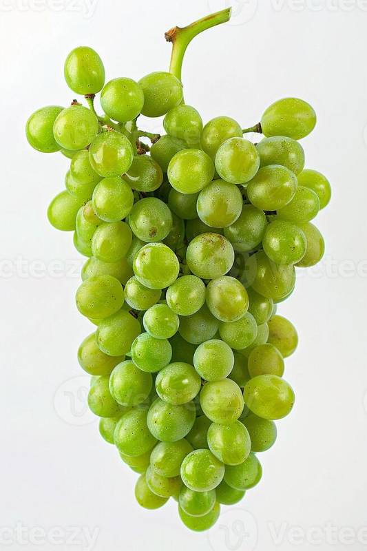 Grapes