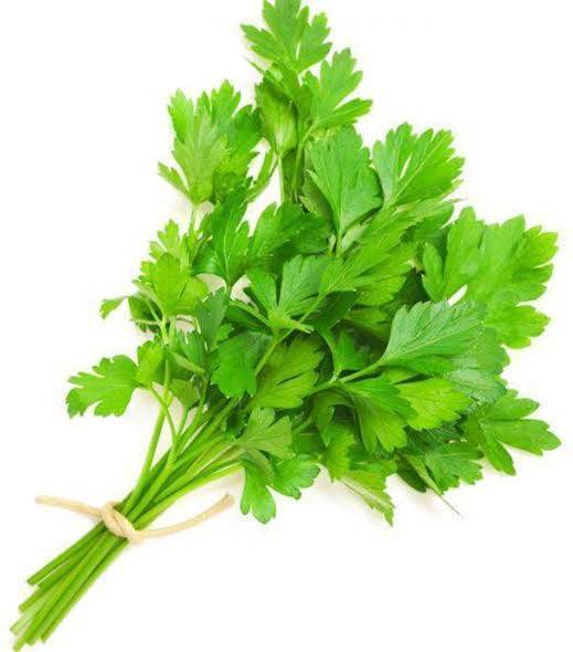 Coriander Brunch(Dhaniya Patta)