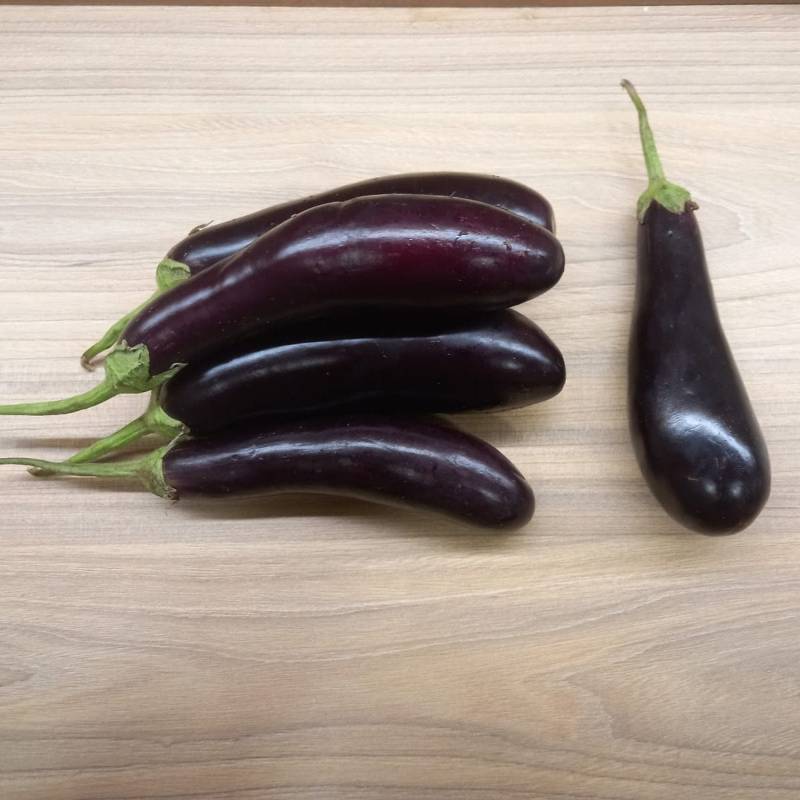 Long Purple Brinjal