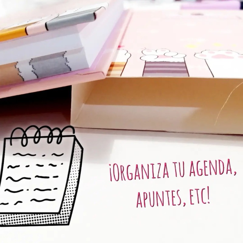 Post it gatitos tipo libreta