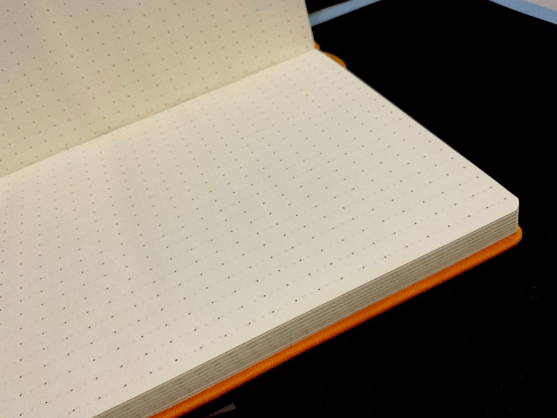 Agenda vinipiel puntos