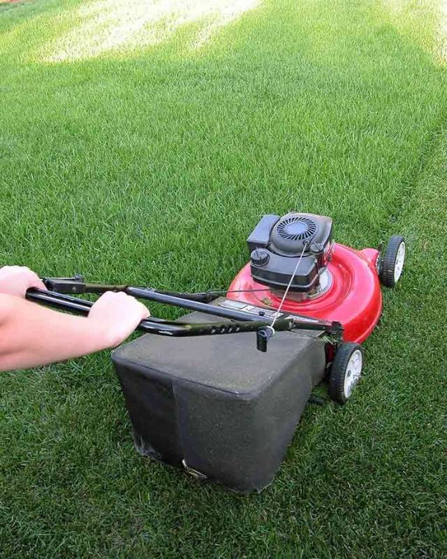 Garden maintenance