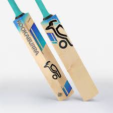 cricket bat