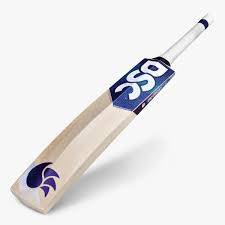DSC Bat For Men