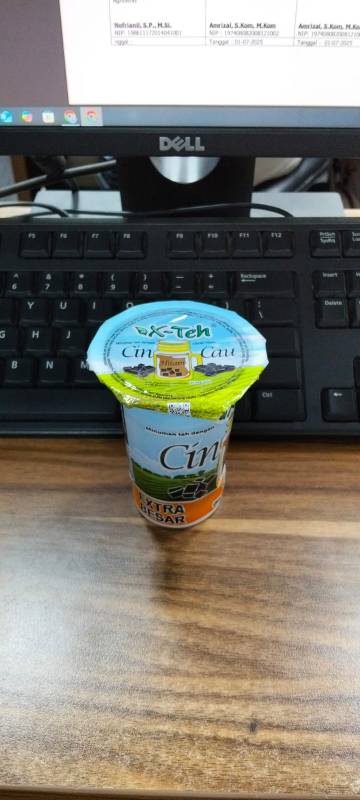 X - TEH Cin Cau