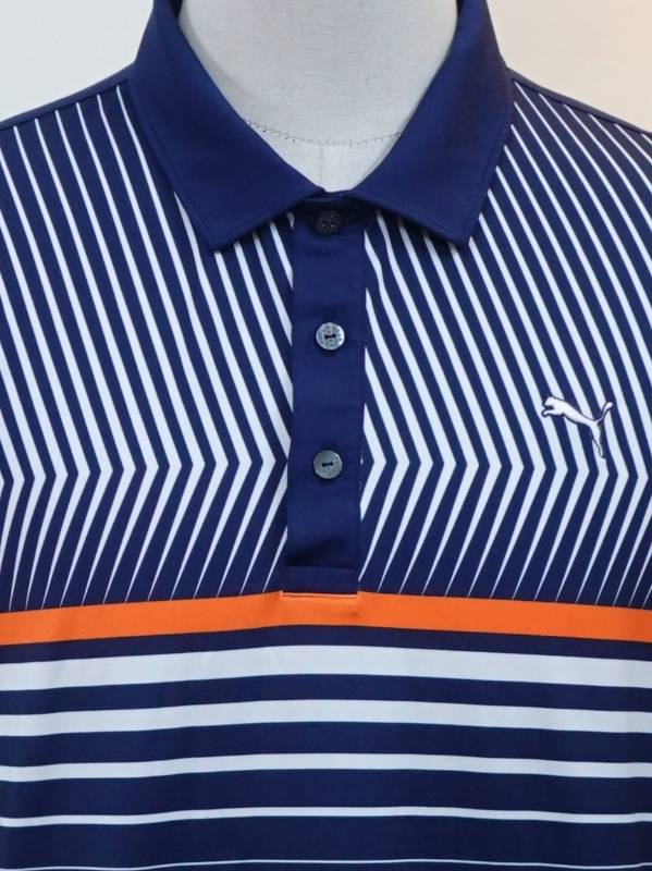 Polo 06