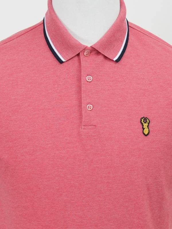 Polo 77