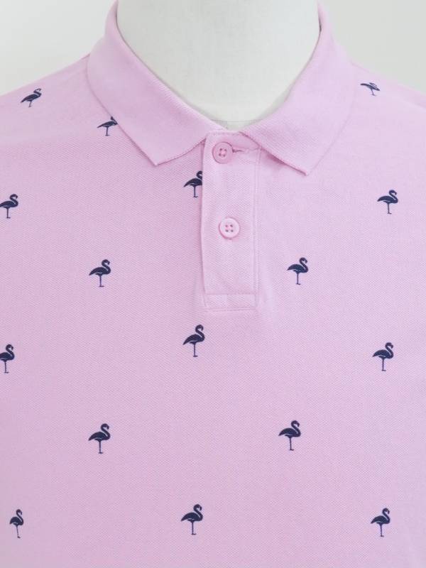 Polo 15