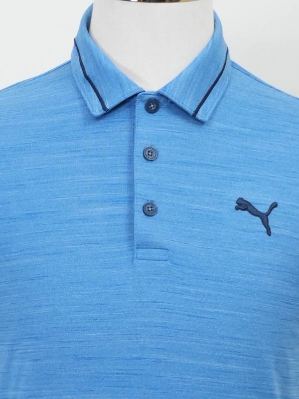 Polo 12
