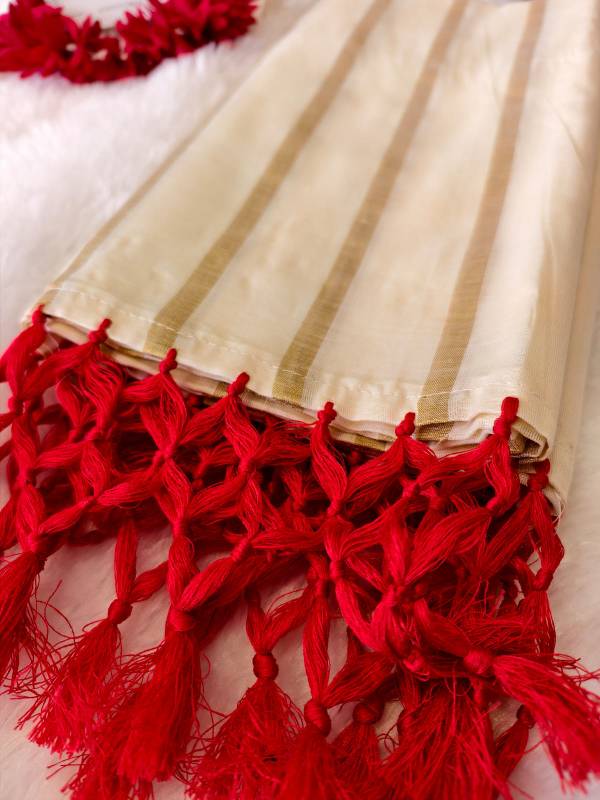 Strips set saree