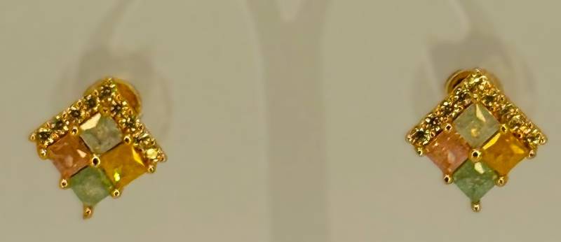 Earings_231