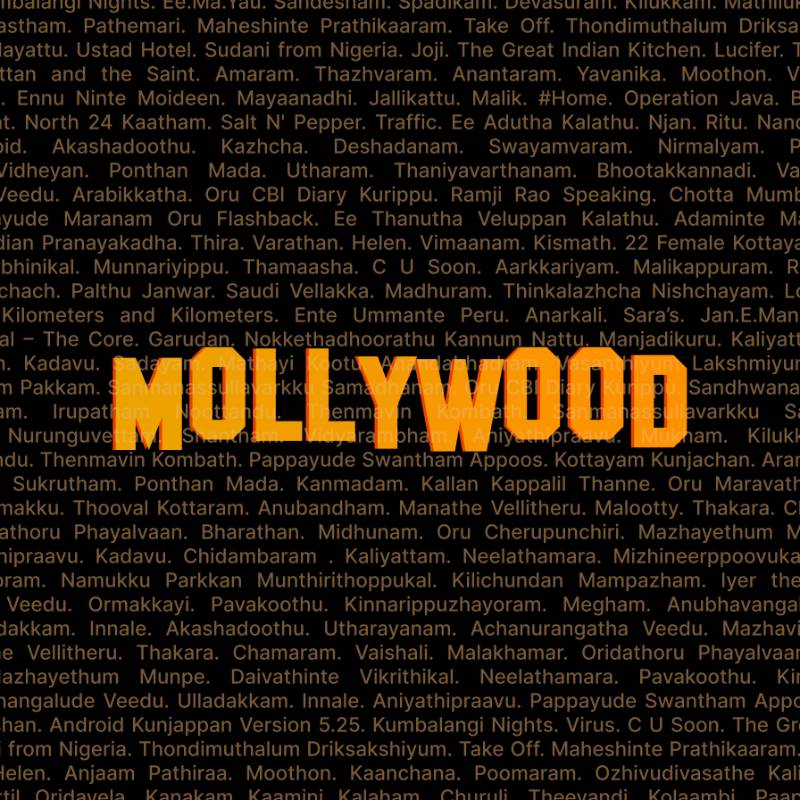 Mollywood Oversized Tshirts