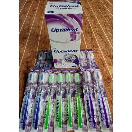 Ciptaden Sikat Gigi