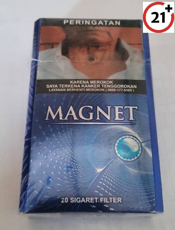 Magnet