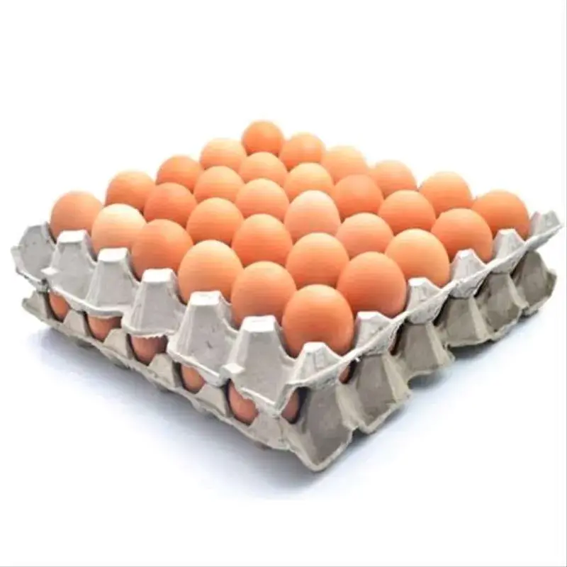 Telor 1/2kg