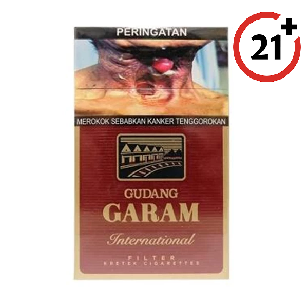 Gudang garam Filter