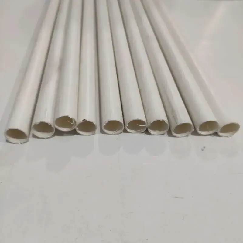 Paralon Listrik