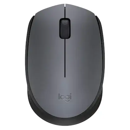 Logitech Wireless Mouse