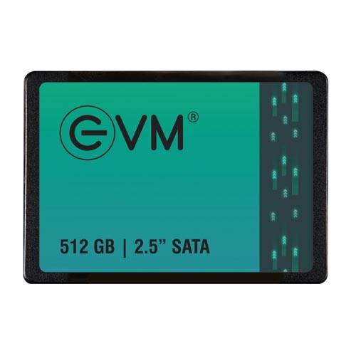 512 GB SSD EVM