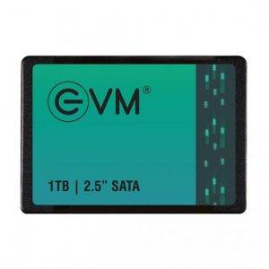 1 TB TB SSD EVM