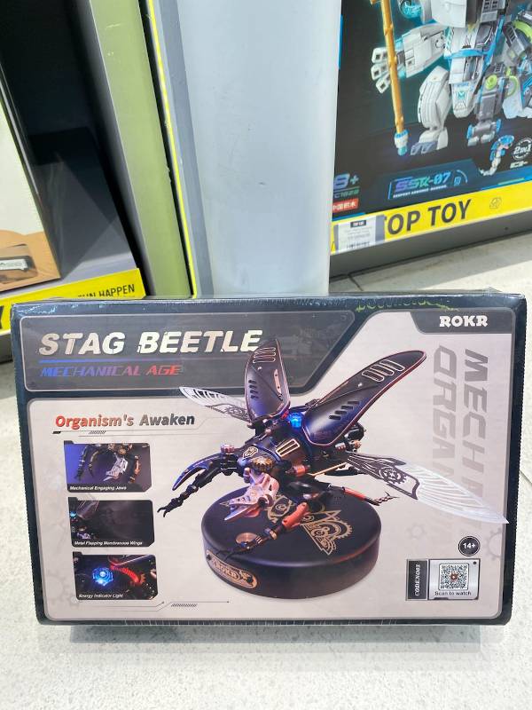 IDN Stag Beetle