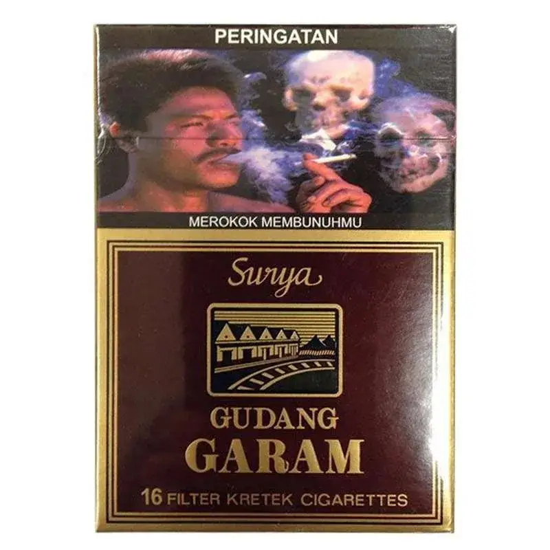 GG SURYA 16