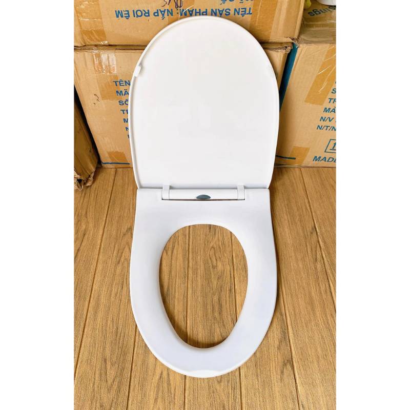 Nắp bồn cầu rơi êm cho Bệt Trung Quốc,CERAVI
