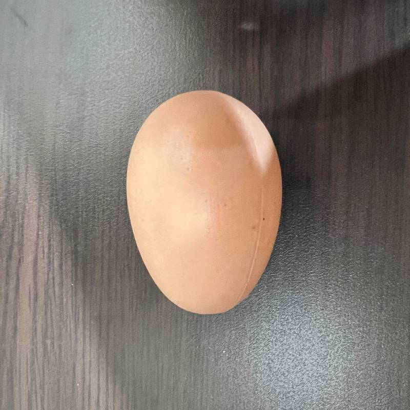 TELOR SATUAN