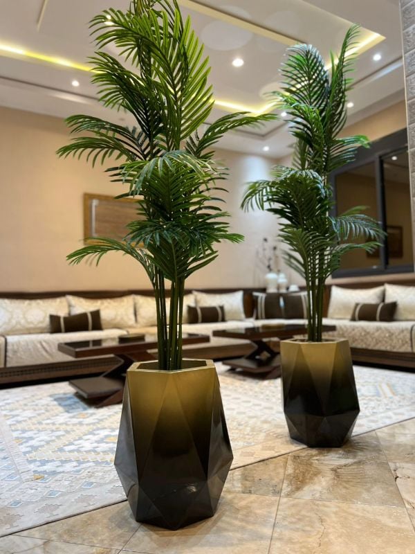 diamond noir dore palmier