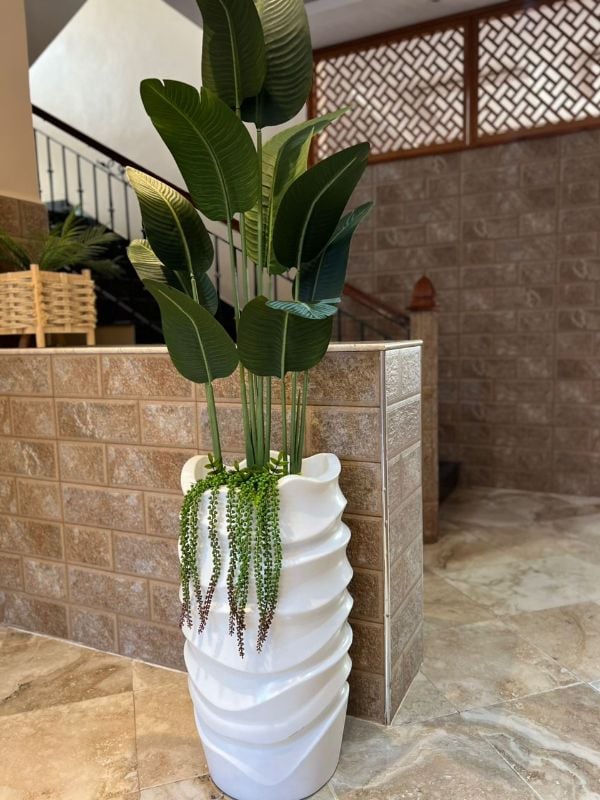 Grande vague bananier