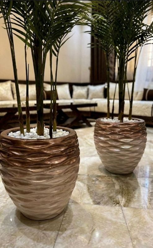 Golf palmier maron bronze