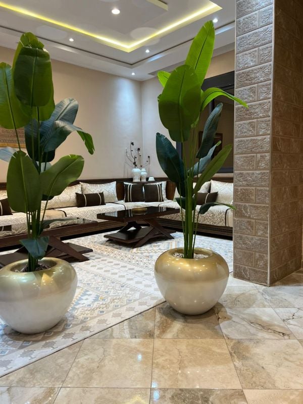 Grande boule bananier