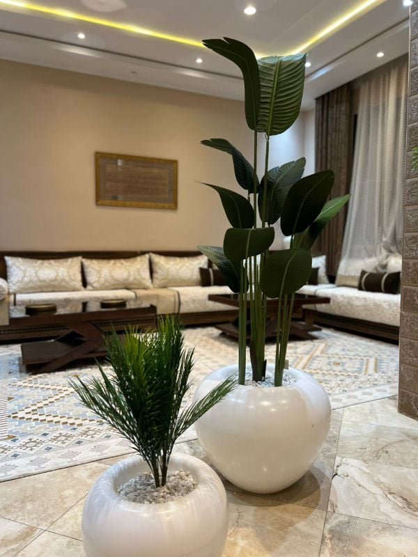 Grande boule bananier