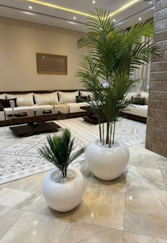 Grande Boule palmier