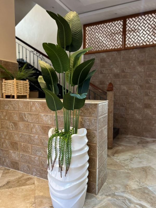 Grande vague bananier