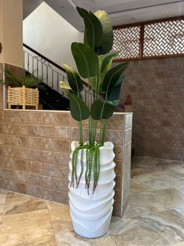 Grande vague bananier