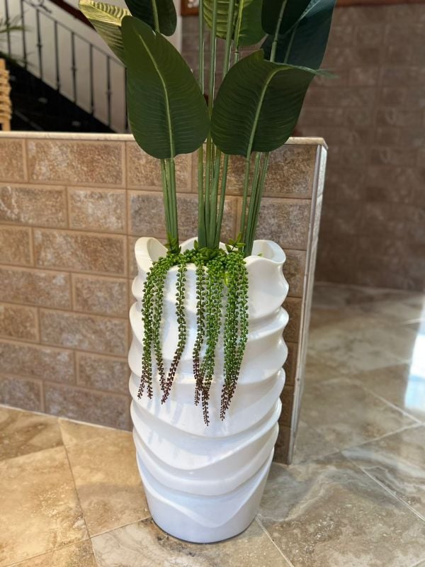 GRANDE VAGUE bananier plus