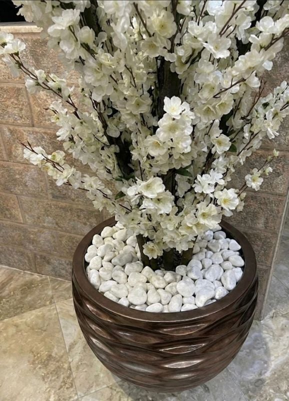 golf marron amandier