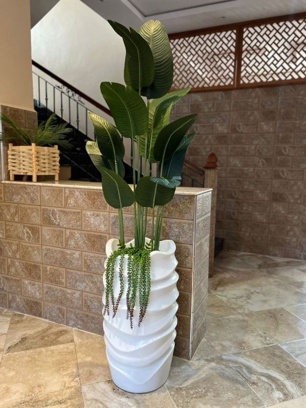 GRANDE VAGUE bananier plus