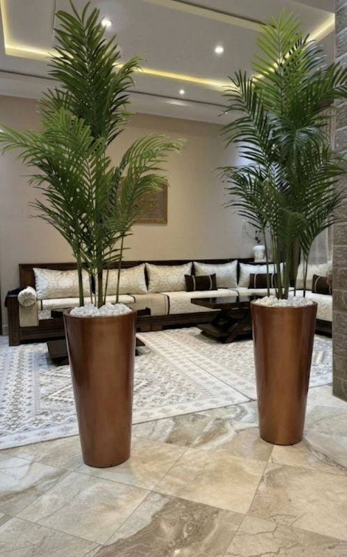 colonaille marron palmier