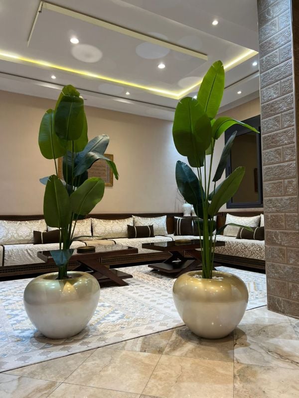 Grande boule bananier