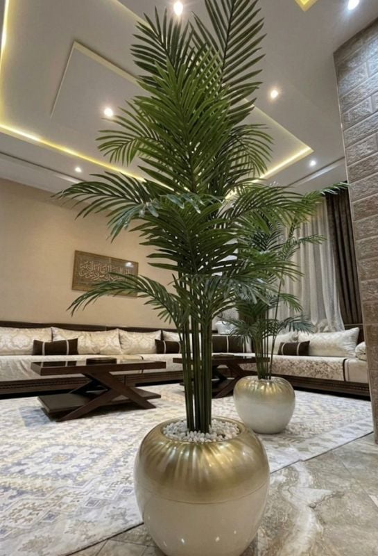 petit boule palmier dore