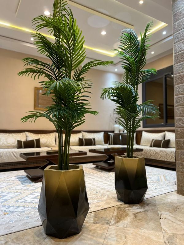 diamond noir dore palmier