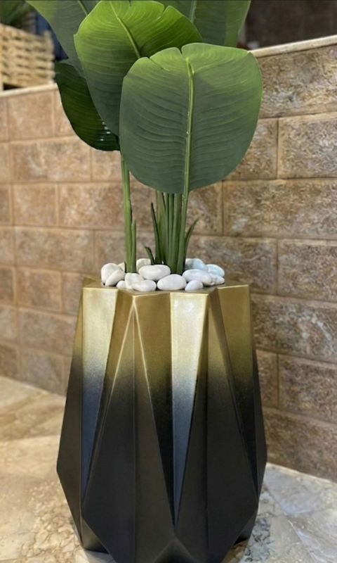 Nedjma banannier noir dore