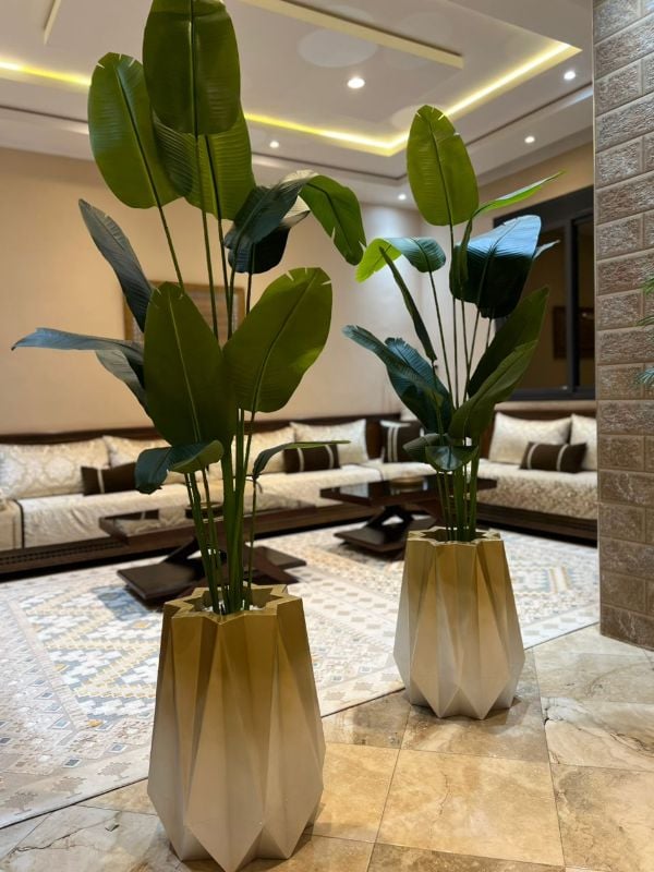 nedjma dore bananier