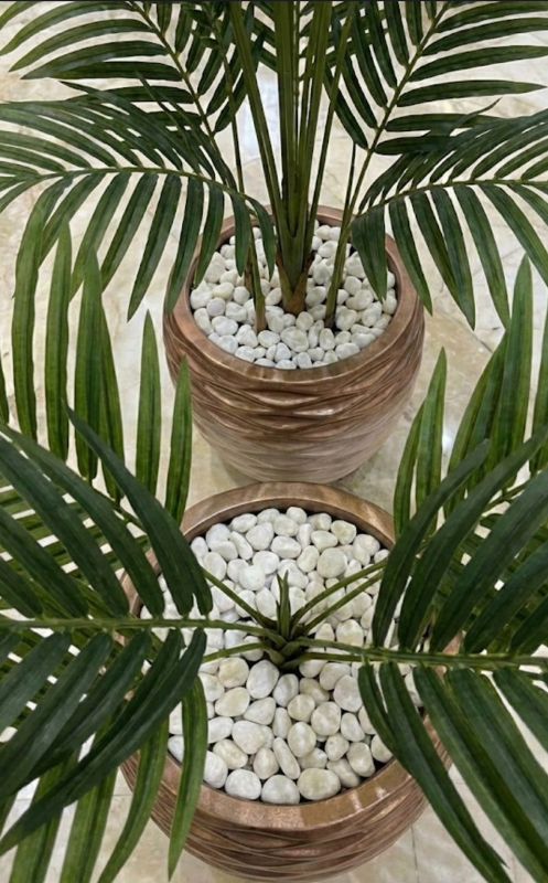 Golf palmier maron bronze