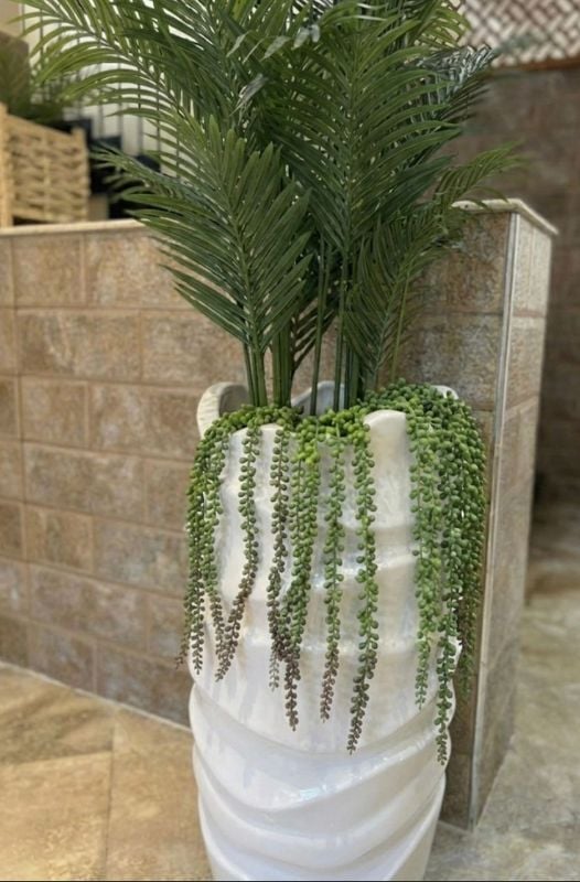 GRANDE VAGUE PALMIER PLUS