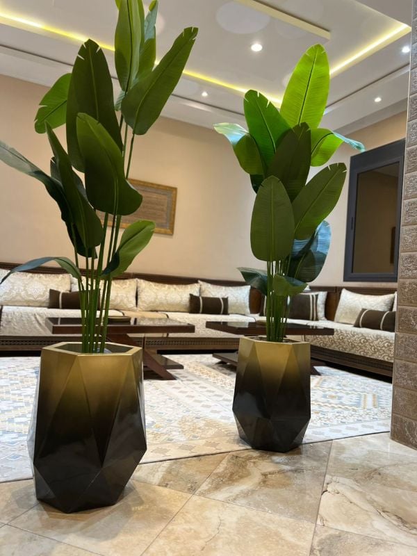 diamond noir dore bananier